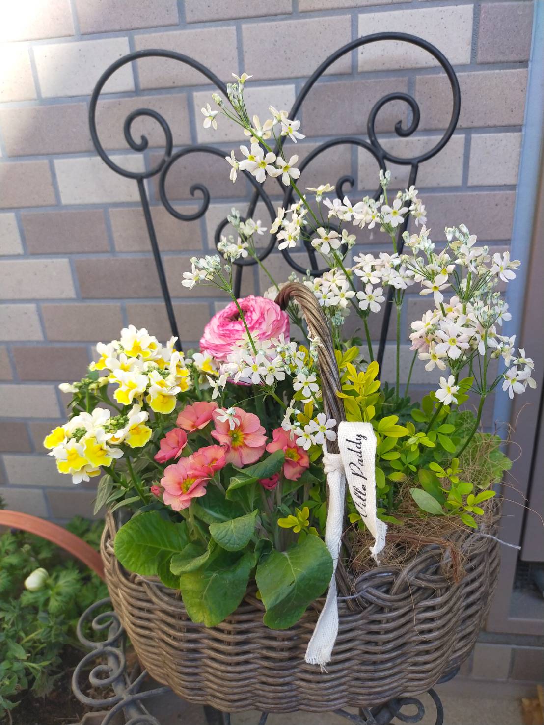 花と緑と共に豊かな植物時間 植物と楽しむガーデニング ★夏の新講座 全3回5/23・6/27・7/25(土)★