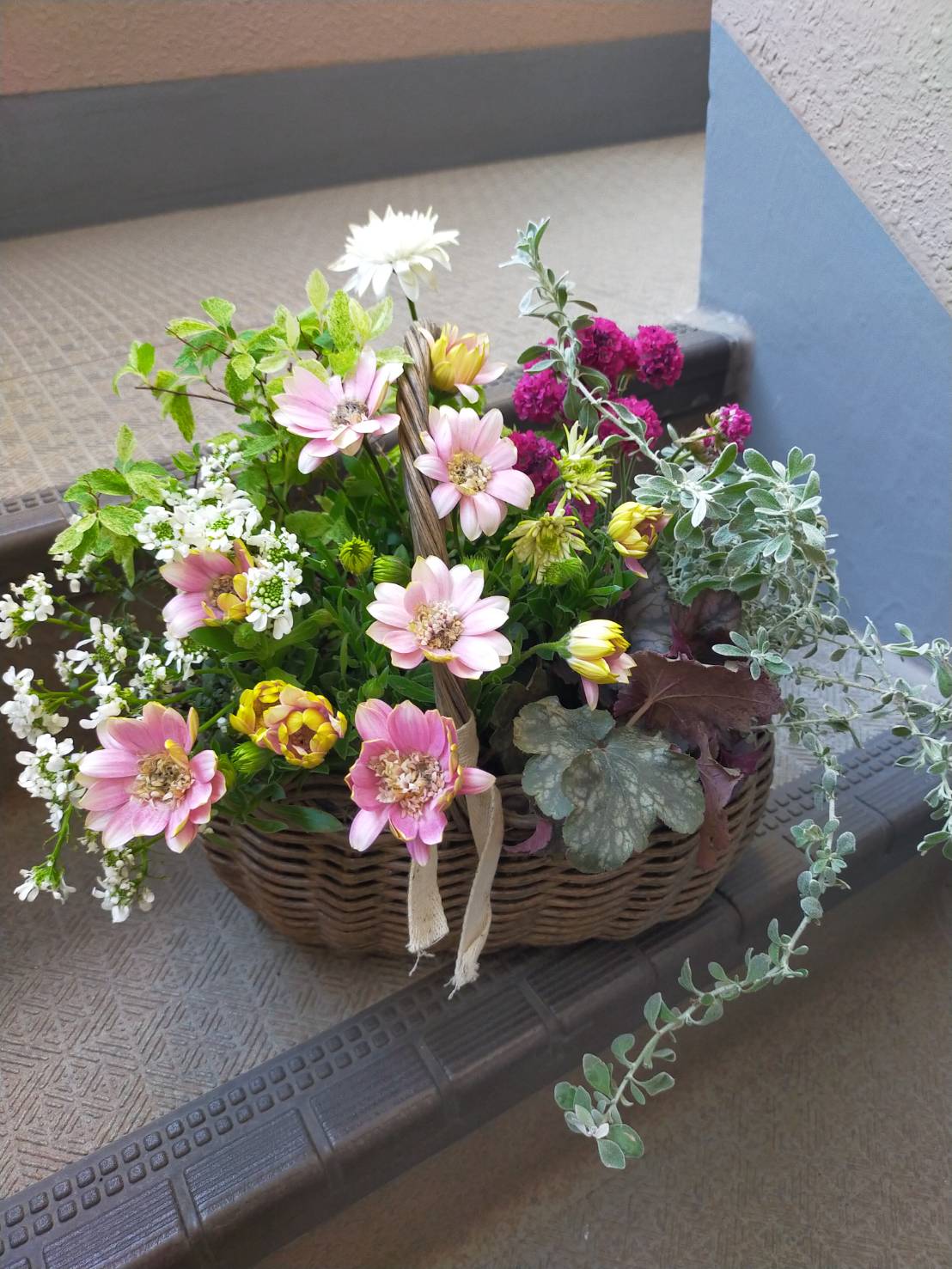 花と緑と共に豊かな植物時間 植物と楽しむガーデニング ★夏の新講座 全3回5/23・6/27・7/25(土)★