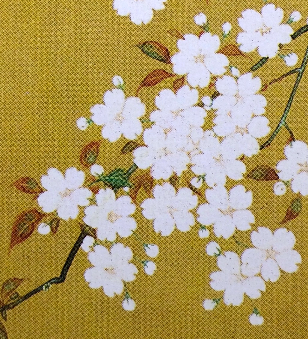 春の花を描こう! 琳派やまと絵の花(全4回) ★春の短期講座 4/17,5/15,5/29,6/5