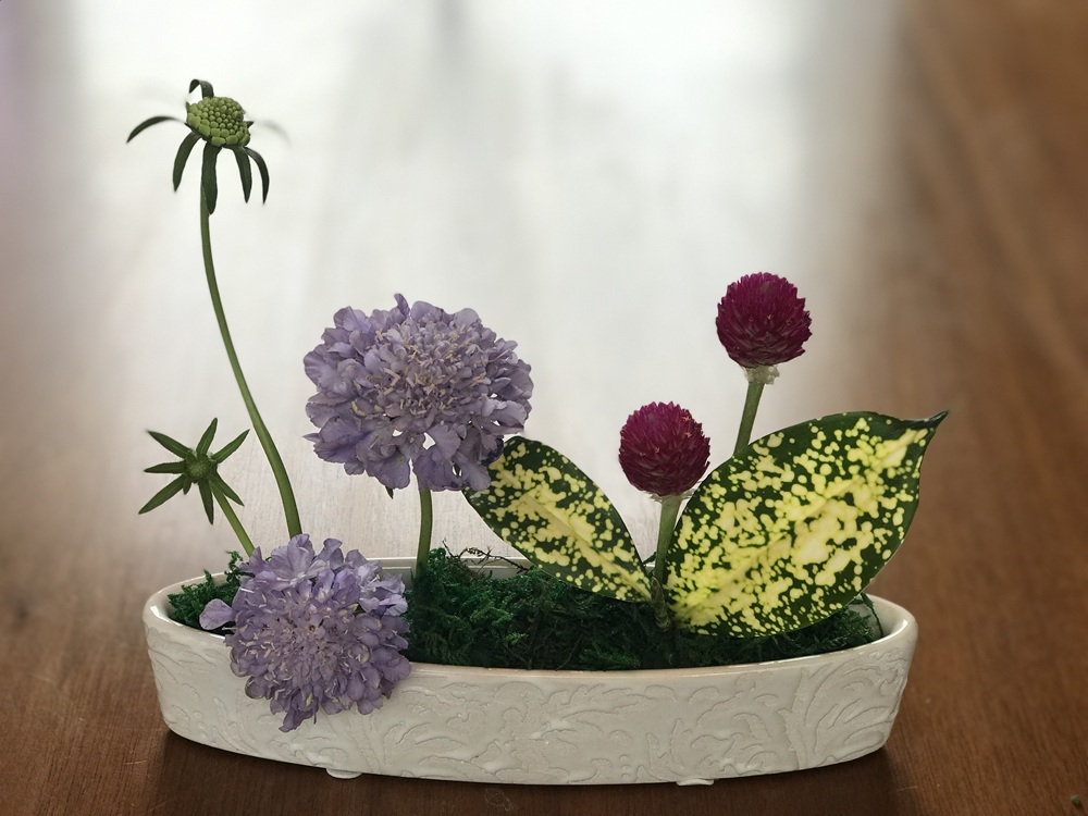 季節の花にふれて穏やかに過ごす SOGETSUいけばな 夏の新講座 体験会6/18(木)