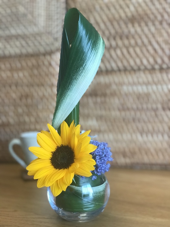 季節の花にふれて穏やかに過ごす SOGETSUいけばな 夏の新講座 体験会6/18(木)