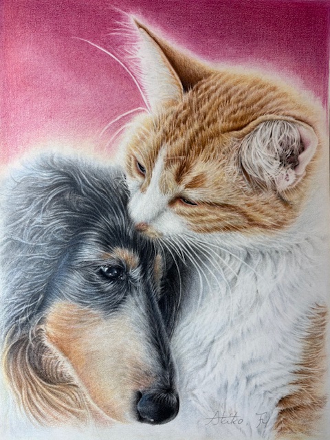 色鉛筆画