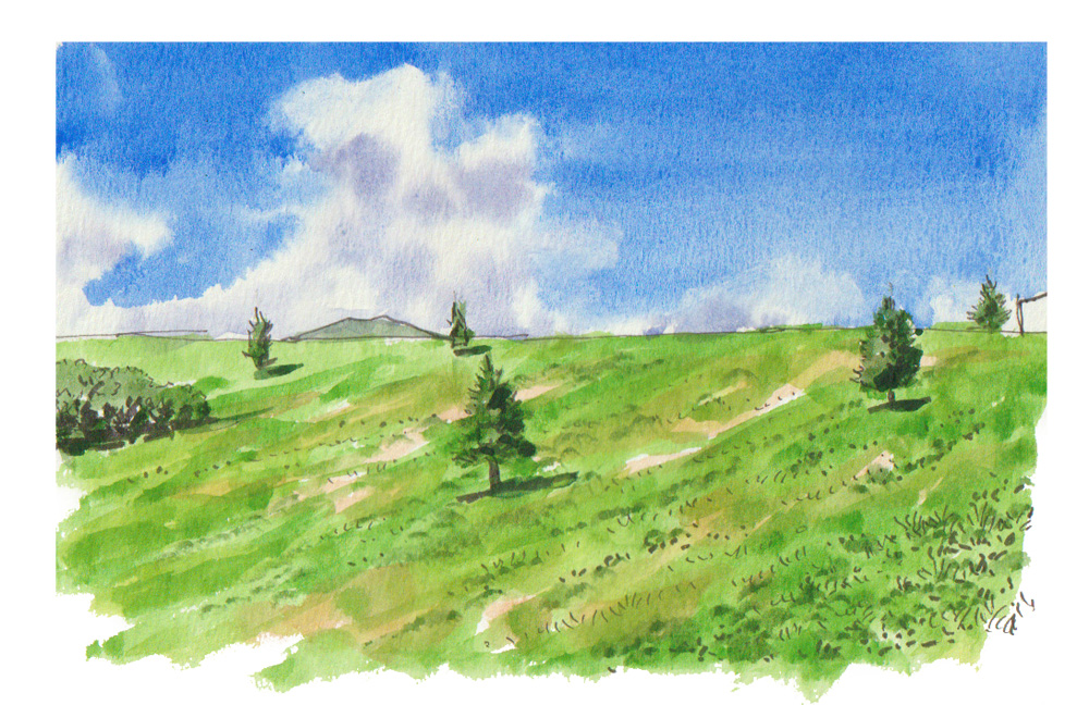 絵心よりもルールで描く ★絵の描き方基礎の基礎 夏の新講座 6/15(月)特別体験会開催