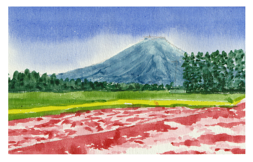 絵心よりもルールで描く ★絵の描き方基礎の基礎 夏の新講座 6/15(月)特別体験会開催