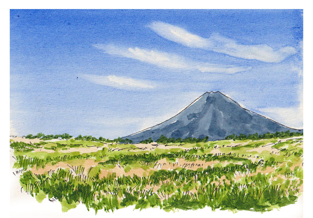 絵心よりもルールで描く ★絵の描き方基礎の基礎 夏の新講座 6/15(月)特別体験会開催