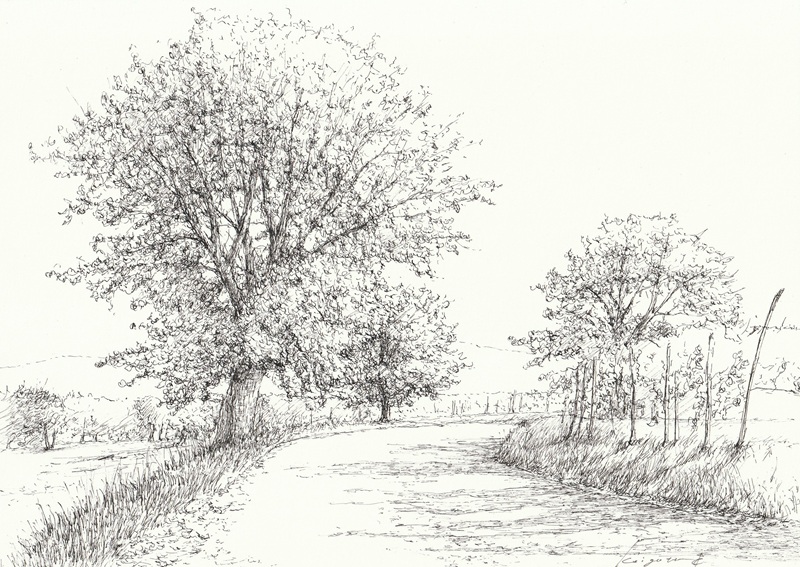 絵を始めたい人におすすめ ★ペン画講座 夏の新講座 6/10(水)特別説明会開催