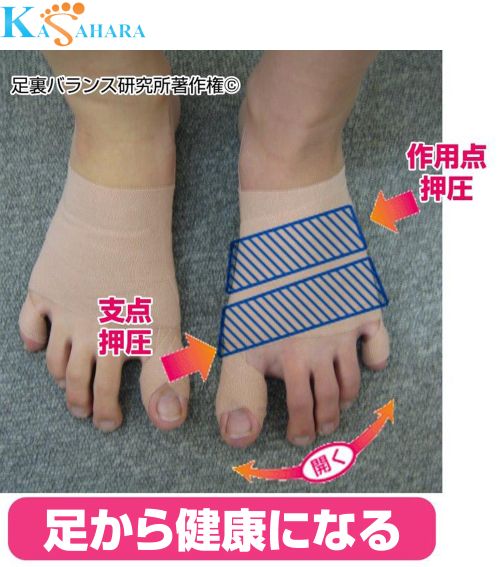 足・膝・腰のトラブルは自分で改善【全3回】 ★カサハラ式・足と健康セルフケア【①日程】 夏の新講座 ①日程6/3(水)スタート