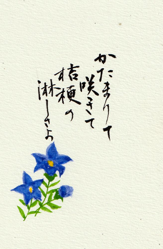 ササっと描く 一筆画入門 夏の新講座 特別体験会 5/22(金)、6/26(金)