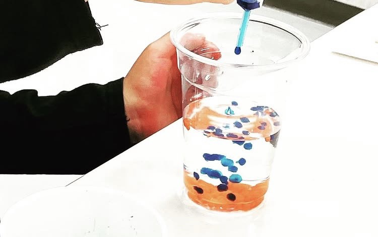 キッチン実験 こども理科実験教室 夏の新講座 6/20(土)特別体験会‼