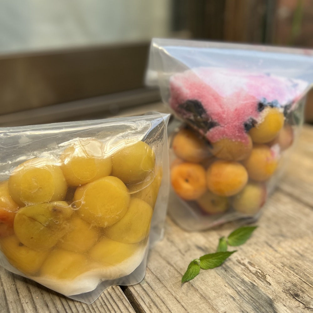 四季を味わう 季節の手しごと入門 夏の新講座 5/27(水)特別体験会開催!