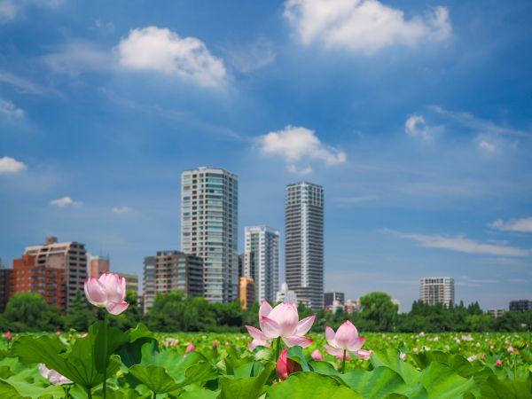実践でわかりやすく学ぶ カメラ撮影テクニック 体験日6/20(土) 体験費880円