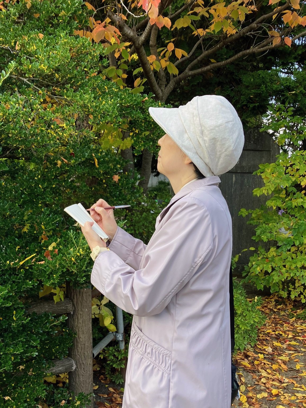 基礎から学ぶ俳句