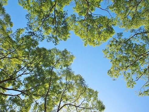 資格取得可!【1年コース】 カウンセラー養成講座 夏の新講座 6/8(月)特別体験会