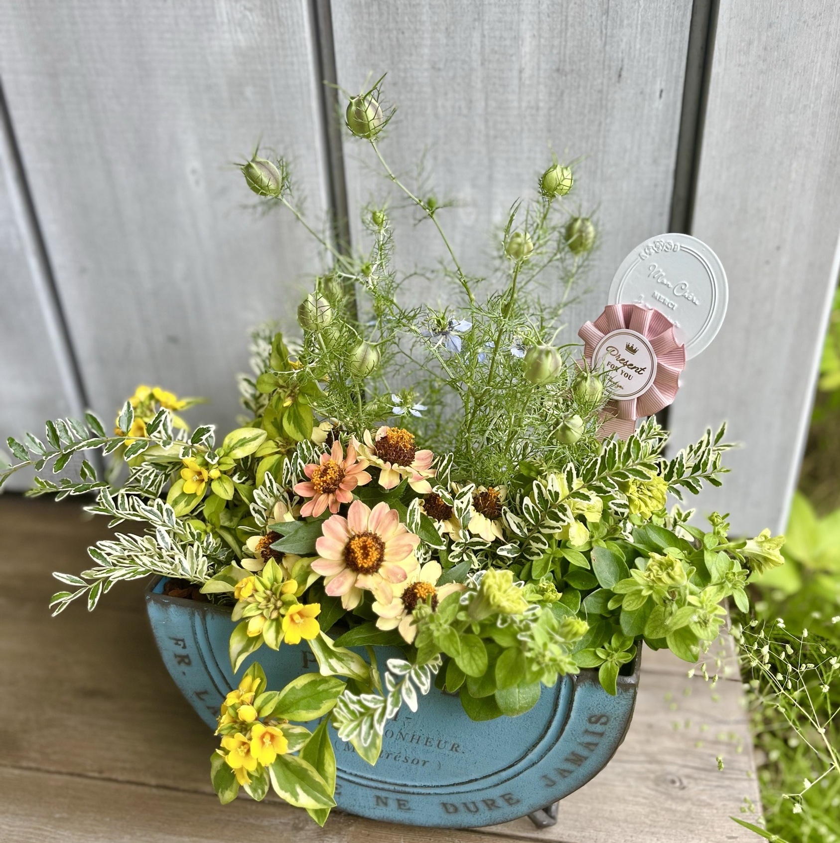 大人かわいい寄せ植え 夏号リニューアル講座 6/5(金)特別体験会