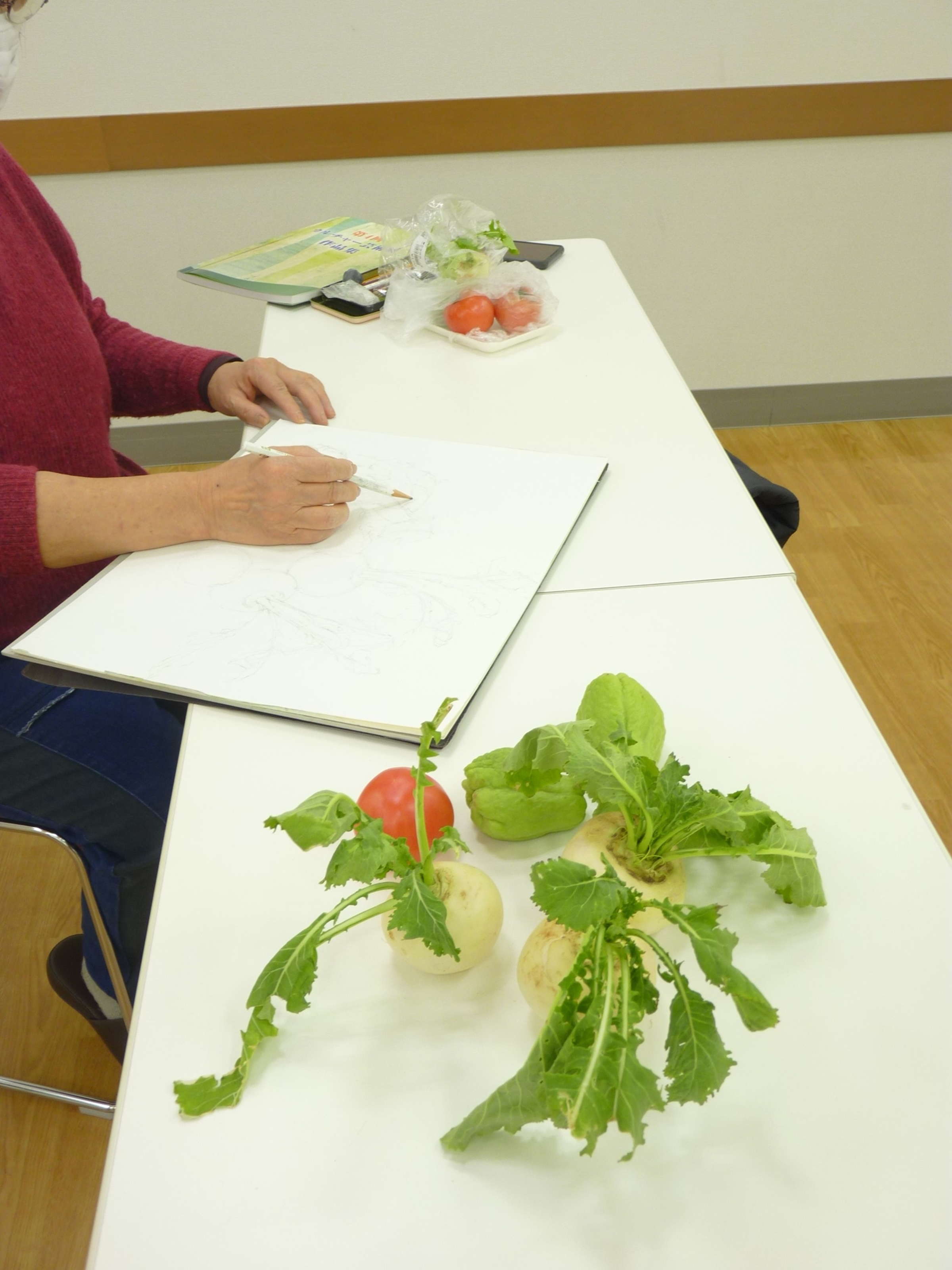 基礎から学べパステルへの応用も 楽しい水彩画