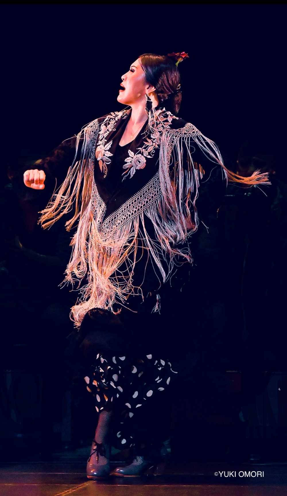 はじめてみよう!フラメンコ フラメンコ 夏の新講座 一日体験 6/23(火)