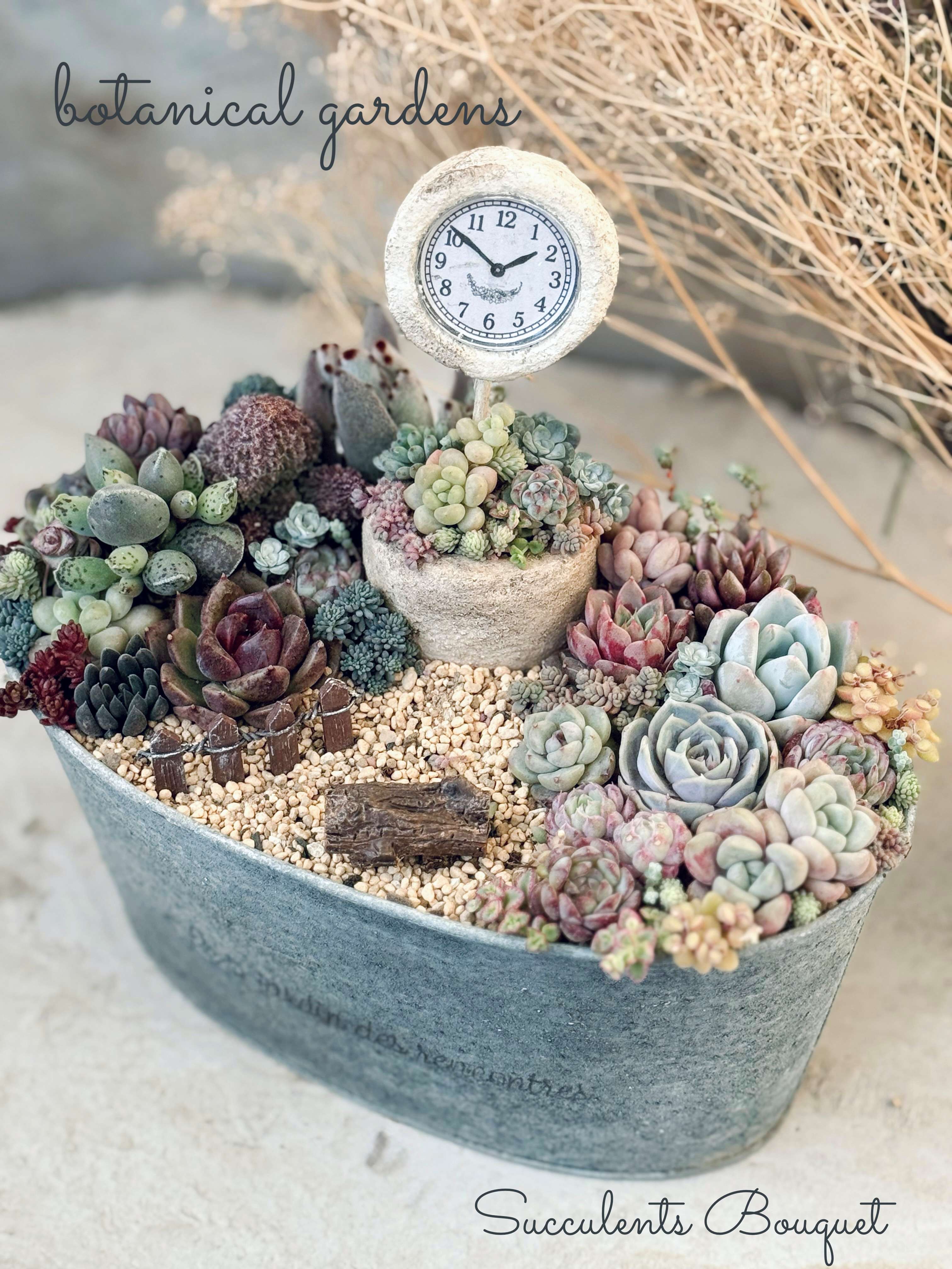 おしゃれスタイリング 多肉植物の寄せ植え 4/29