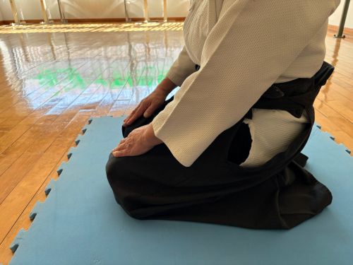 女性のための合気道 夏の新講座 6/5,19(金)特別説明会