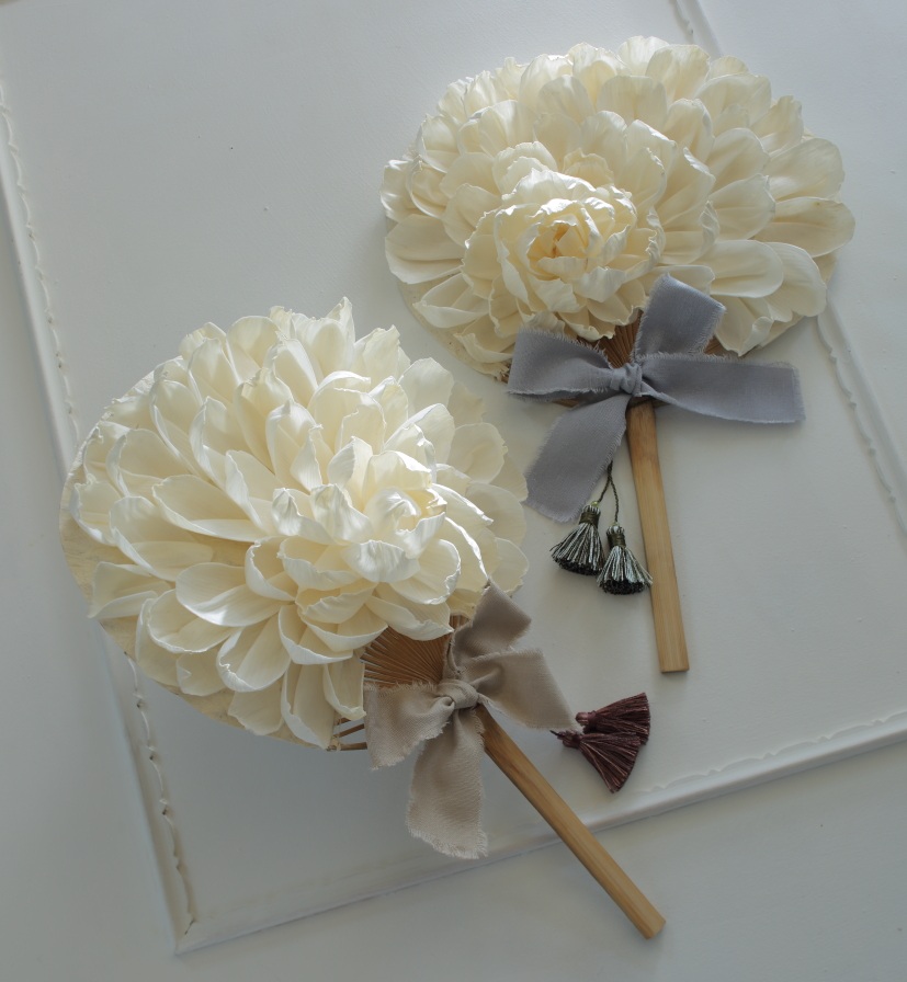 地球規模でのSDGs ソラフラワー・ホテイアオイ講座