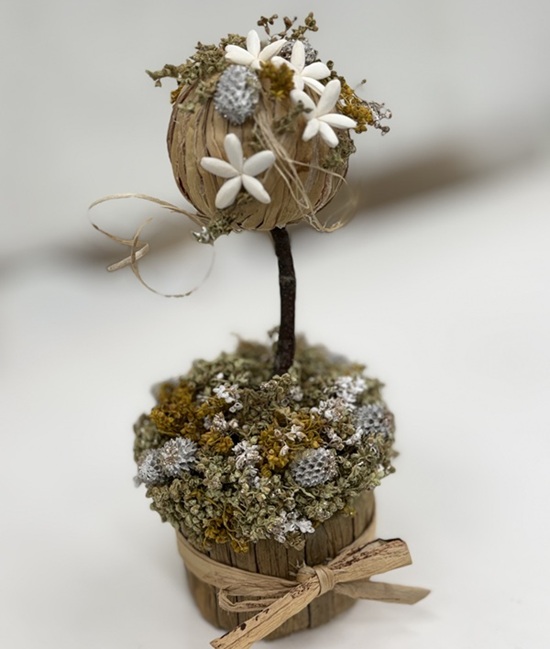 地球規模でのSDGs ソラフラワー・ホテイアオイ講座