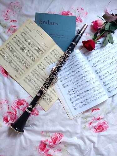 気軽に吹いてみよう クラリネット教室 【夏の新講座1日体験会】5/25・6/8(月)