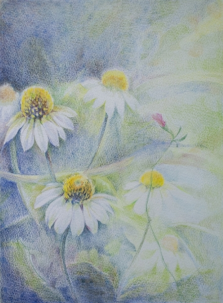 お好きな画材で 土曜日のアトリエ ★夏の新講座 5/23(土)体験会★