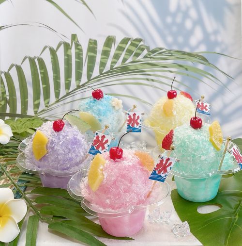 食品サンプル かき氷の貯金箱 夏の1day講座 8/9(日)開催｜三ツ境