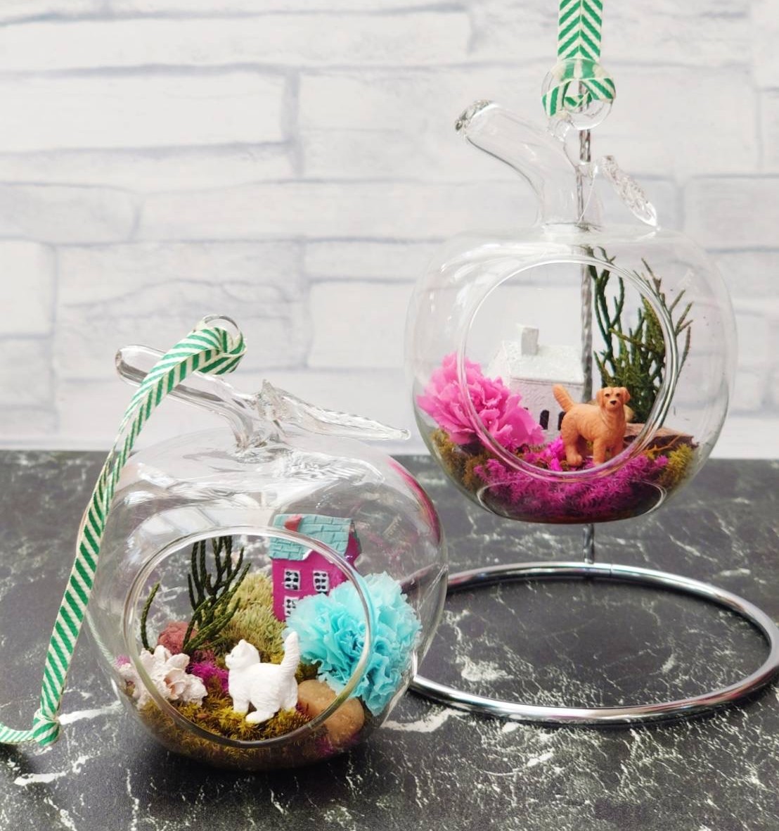 癒しの苔のインテリア 苔ミニテラリウム 夏の1DAY講座 7/26(日)