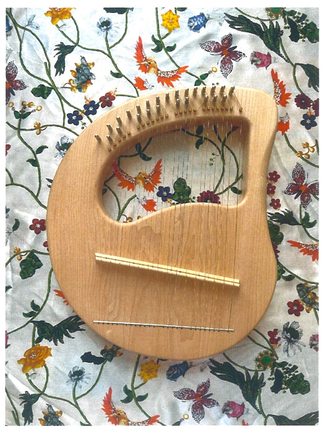 憧れの楽器 癒しの竪琴(ライア)入門 【一日体験】6/12(金) 体験費 880円