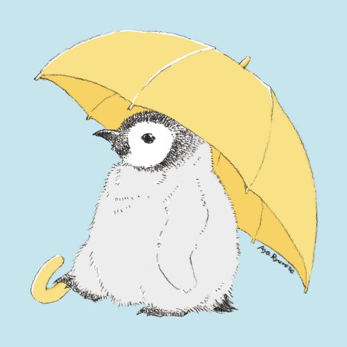 好きな画材を選べる やさしい動物画 夏号特別体験会6/13(土)