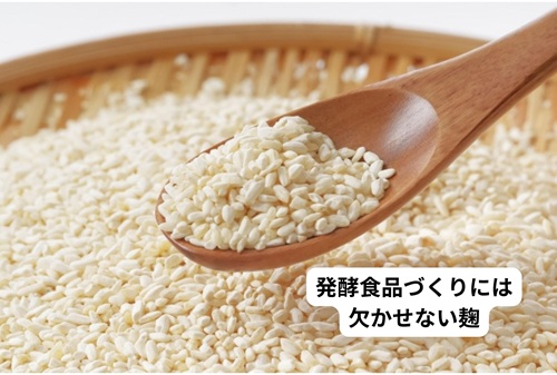 ☆6/1スタート 麹を知って毎日の食に活かす 発酵と発酵食品の基礎知識 全6回