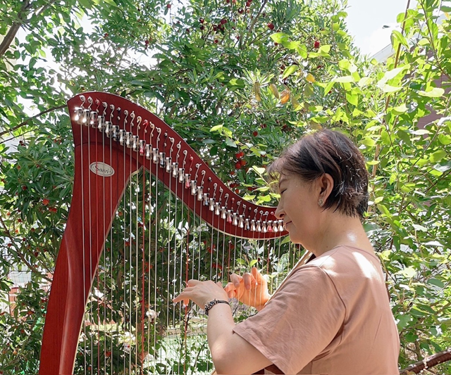 ☆6/22特別体験会 小型(膝乗せ)ハープ 45分個人レッスン