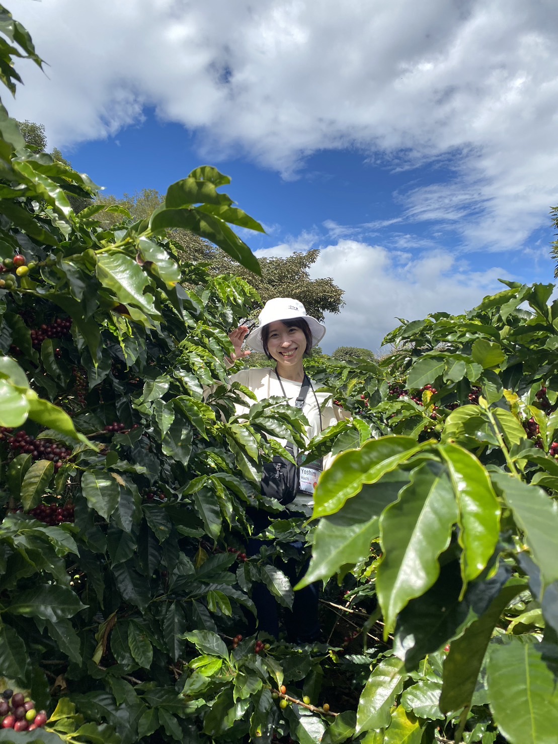 美味しいコーヒーの淹れ方講座【全3回】