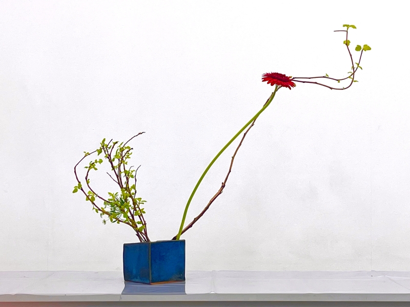 月に1回 季節を感じる時間 いけばな草月流 夏号新講座 特別体験会6/6(土)