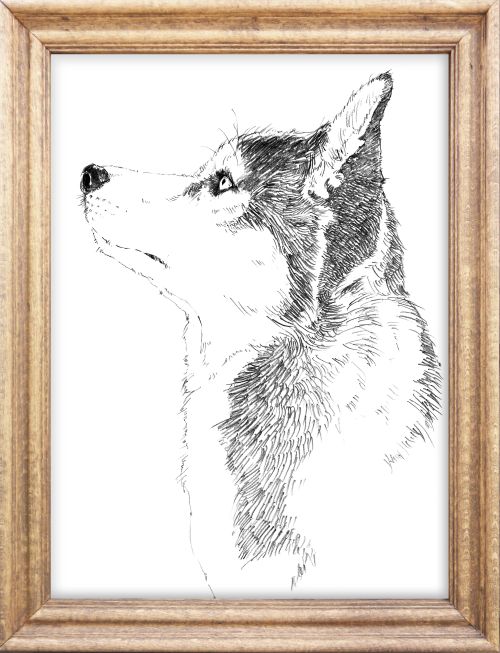 好きな画材を選べる やさしい動物画 夏号特別体験会6/13(土)