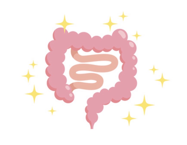 腸と運を動かす (全3回)健康腸活ヨガストレッチ 春の新講座 5/28・6/11・6/25(木)
