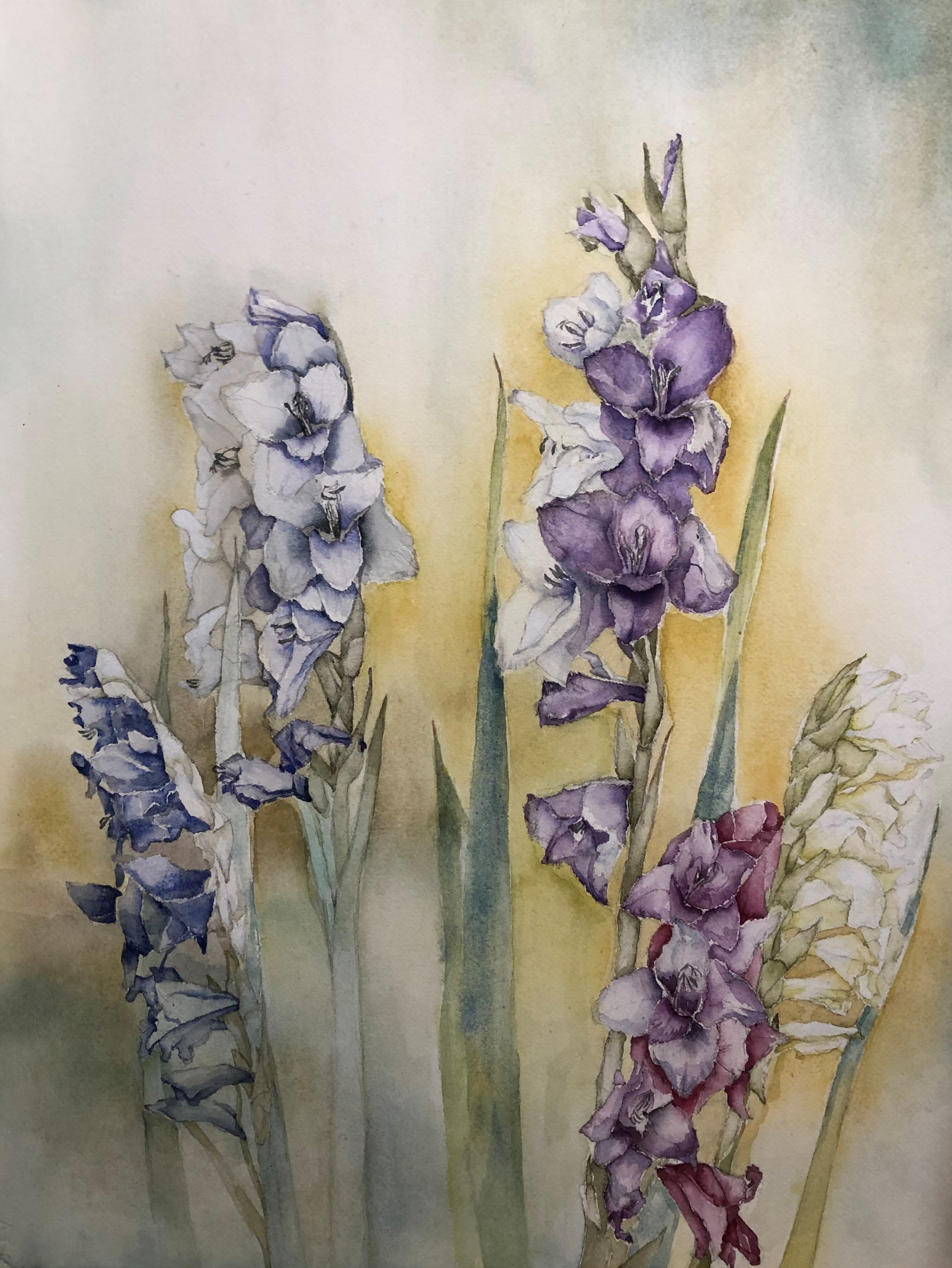 彩り水彩画教室 夏の新講座 6/16(火)特別体験会