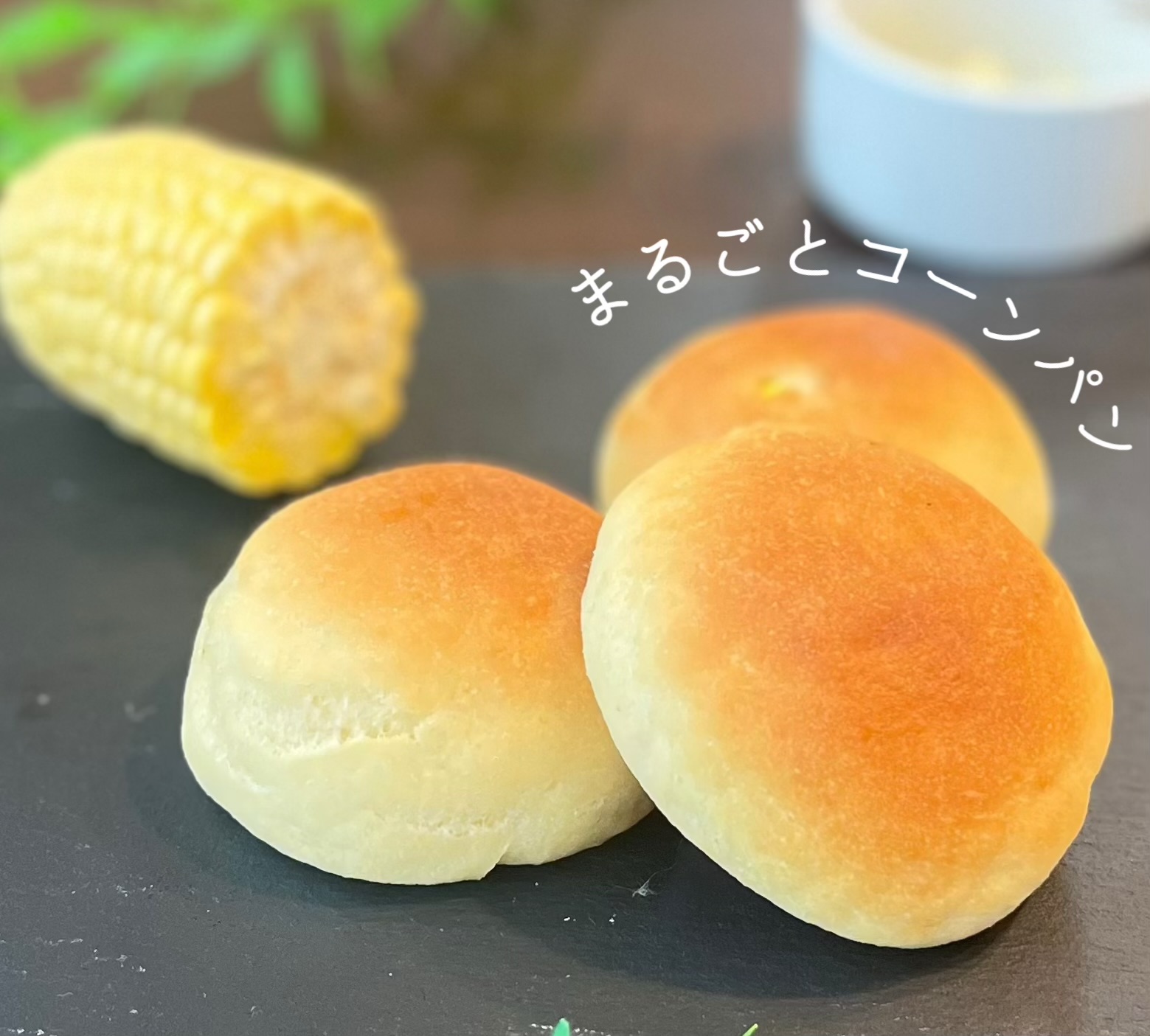 お米がパンに大変身! はじめての生米パン教室(全4回) 夏の新講座 6/16(火)スタート