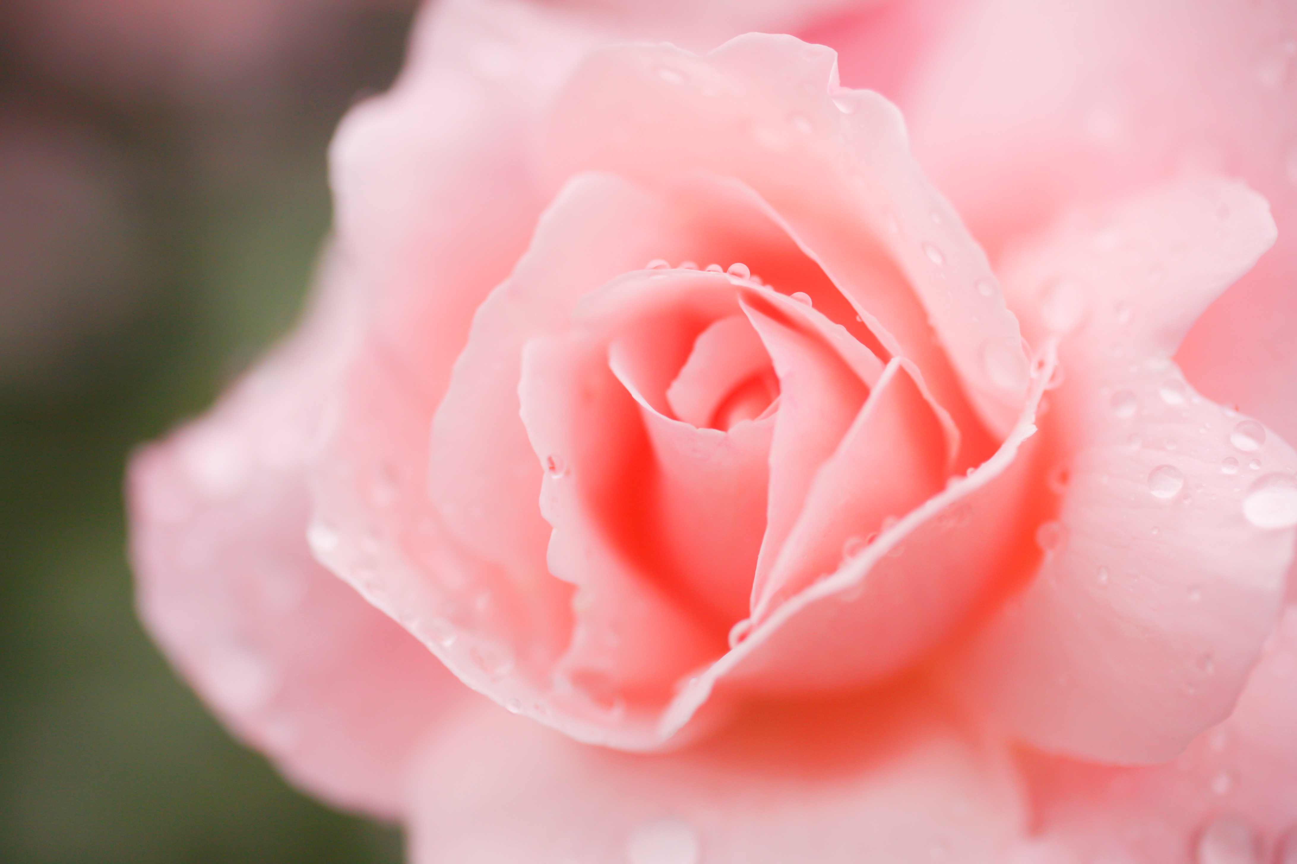 デジタルカメラ