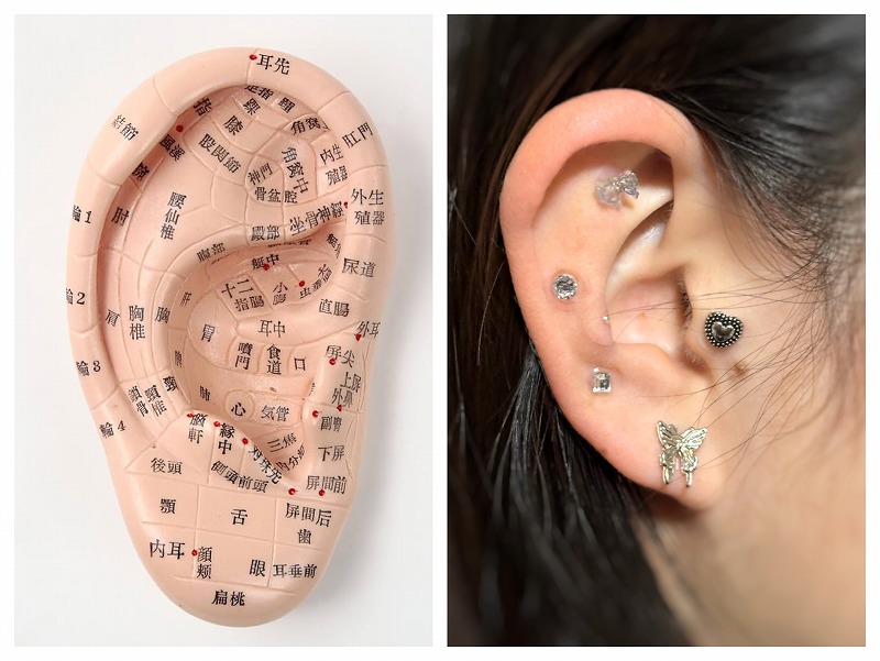 <全3回 手軽に始めよう! 耳つぼ講座