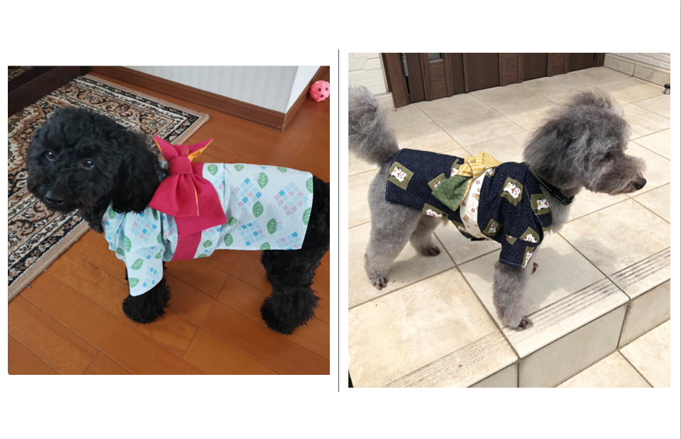お好きなコットン生地で作ってあげましょう! 手作り犬服浴衣をつくろう【全5回】 夏号新講座 6/1(月)スタート