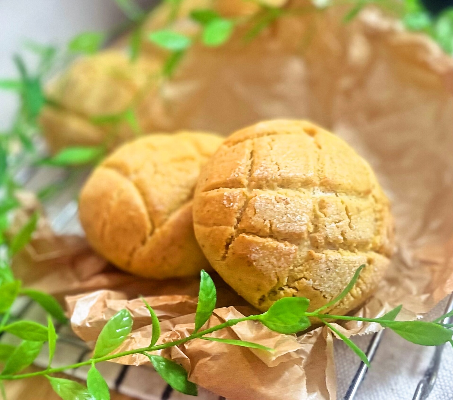 お米がパンに大変身! はじめての生米パン教室(全4回) 夏の新講座 6/16(火)スタート