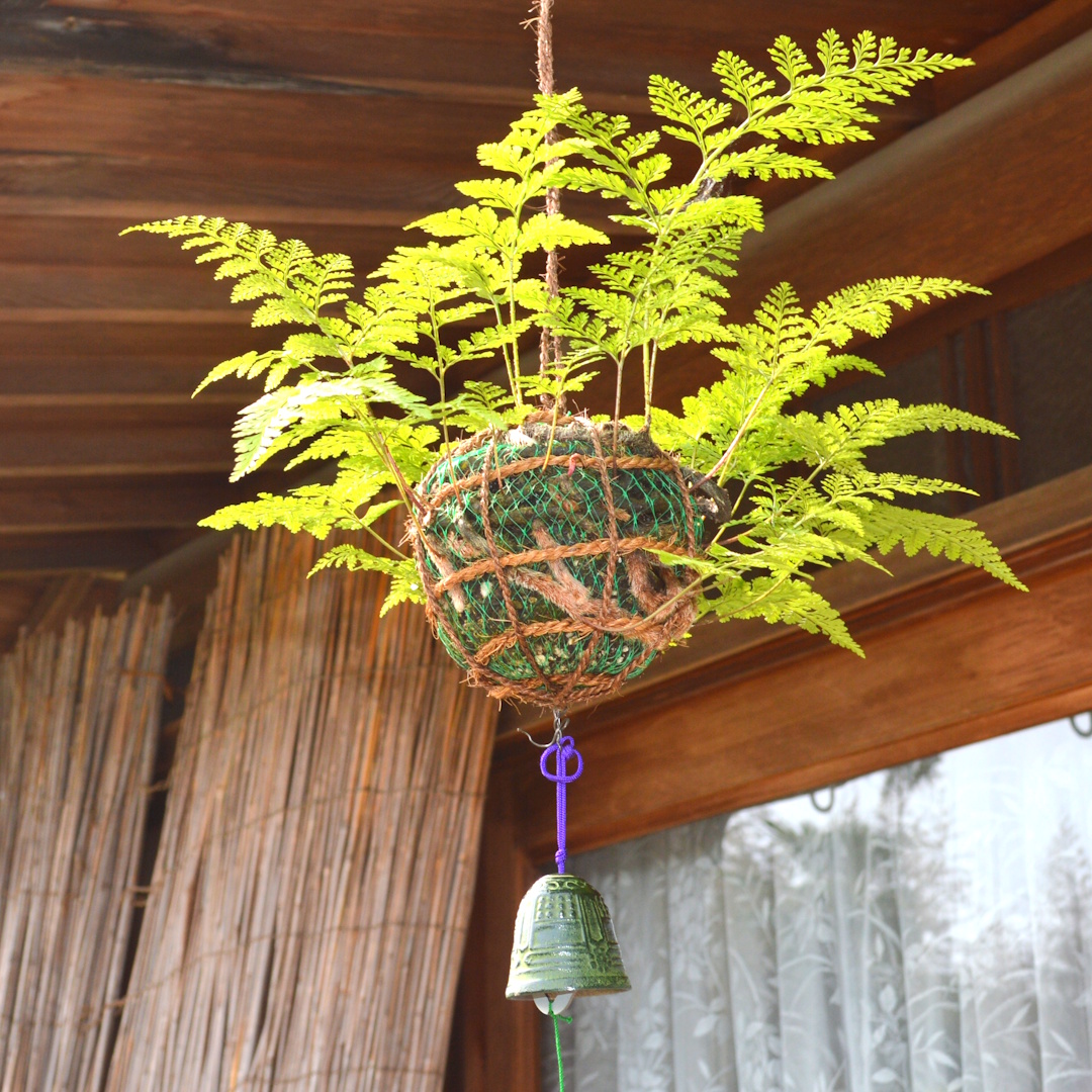 【和の風物詩つりしのぶを作ろう・午前の部】 宝塚の伝統工芸が楽しめる
