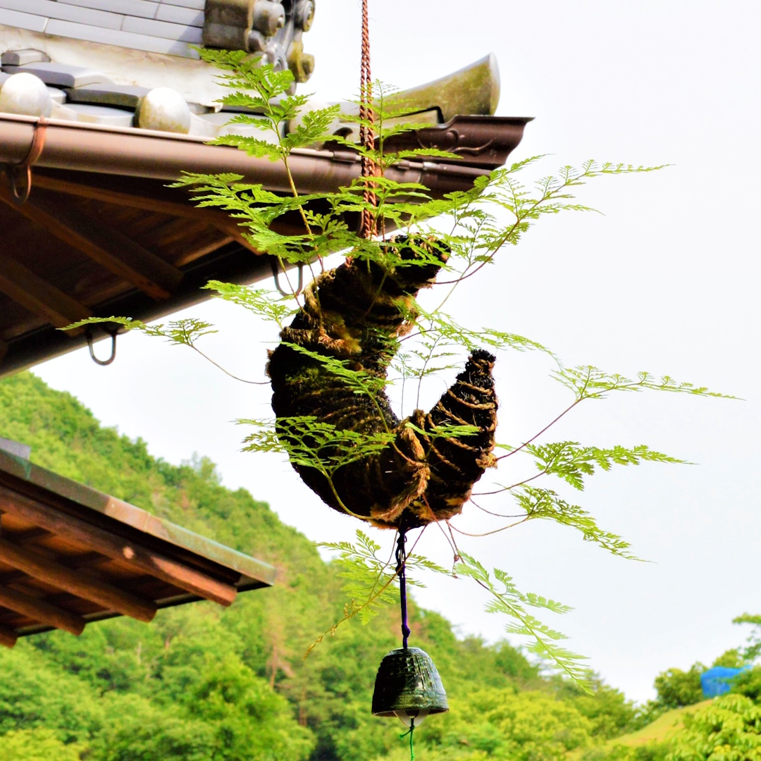 【和の風物詩つりしのぶを作ろう・午前の部】 宝塚の伝統工芸が楽しめる