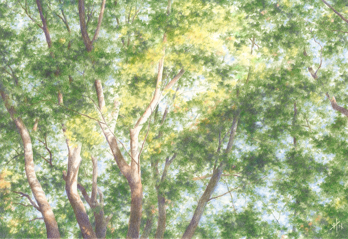 初めての方大歓迎 色鉛筆アート