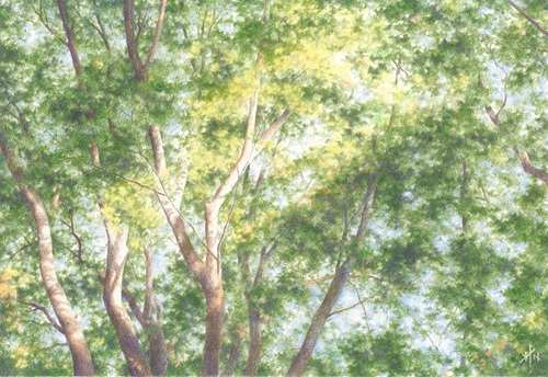 初めての方大歓迎 色鉛筆アート