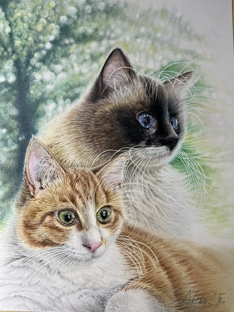 はじめてでもステキに描ける 色鉛筆画 【秋のおすすめ講座 9/7・10/5(月)体験会】