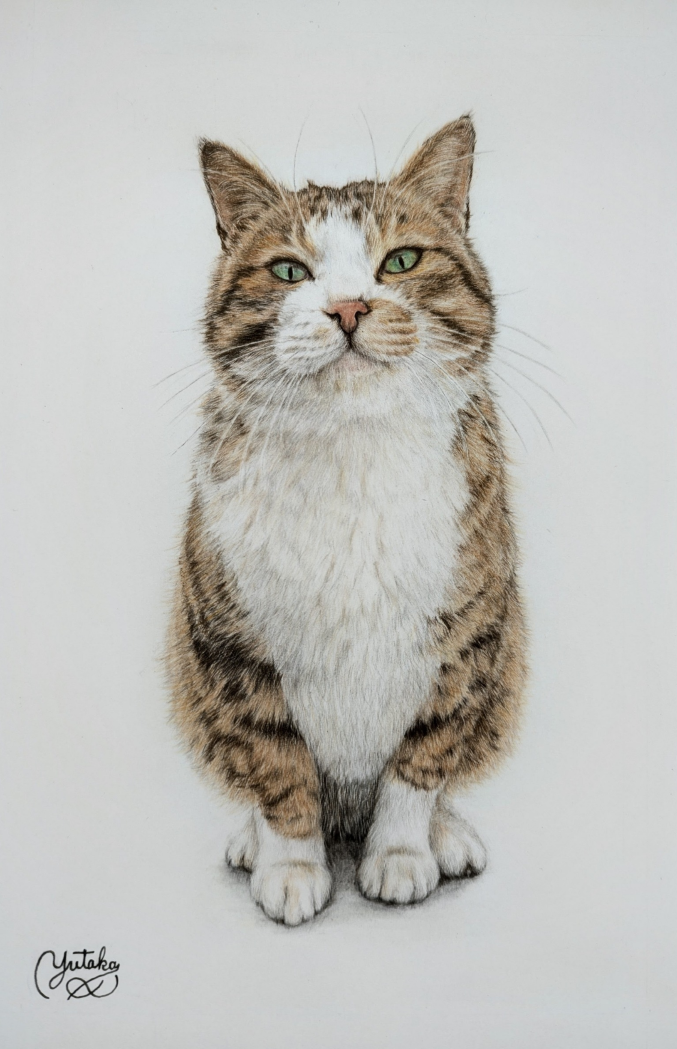 愛犬・愛猫を描こう! リアル色鉛筆教室