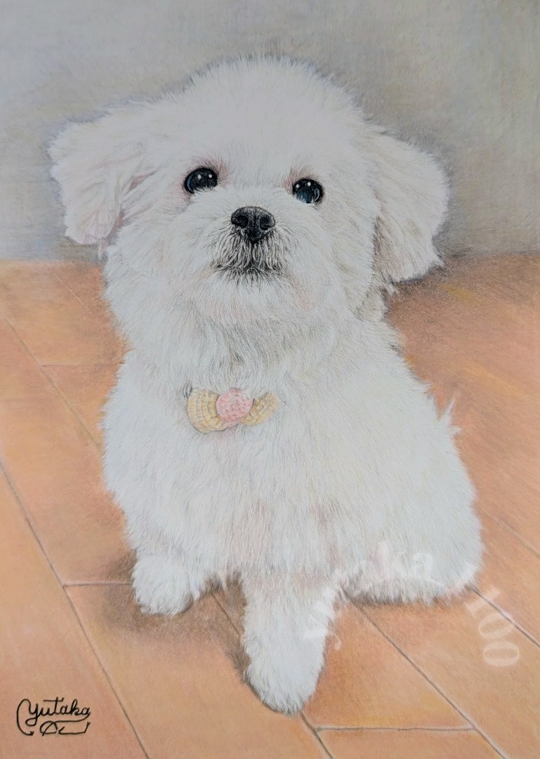 愛犬・愛猫を描こう! リアル色鉛筆教室