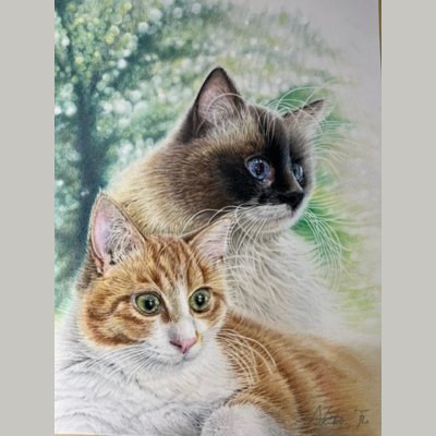 はじめてでもステキに描ける 色鉛筆画